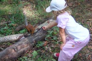 Girl feeding Squirrel